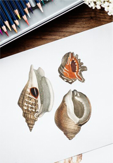 work image